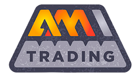 Ami Trading USA Inc